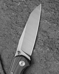 BESTECH SNAKEBIRD BG58C Siyah G10 Sap 14C28N Çelik Çakı