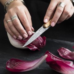 2 Deejo Paring Knives, Olive and Coral Wood / Blossom Bıçak Seti
