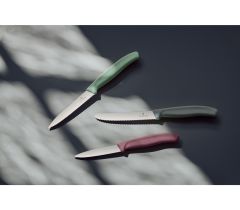 ​Victorinox 6.7116.L20 Fresh Energy Soyma Bıçak Seti
