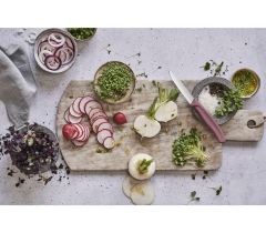 ​Victorinox 6.7116.L20 Fresh Energy Soyma Bıçak Seti
