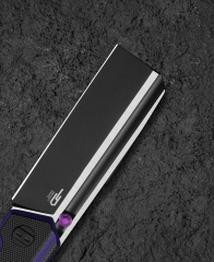 BESTECH TARDIS BG54D G10 Sap Siyah DLC+Saten D2 Çakı