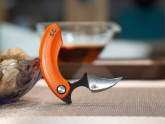 BESTECH Strelit | G10 Sap | 14C28N Çelik Çakı | BG52C-2