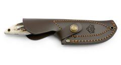 PUMA IP Farkas, Staghorn