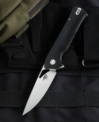 BESTECH MUSKIE BG20A-1 3,54'' D2 Blade G10 Sap