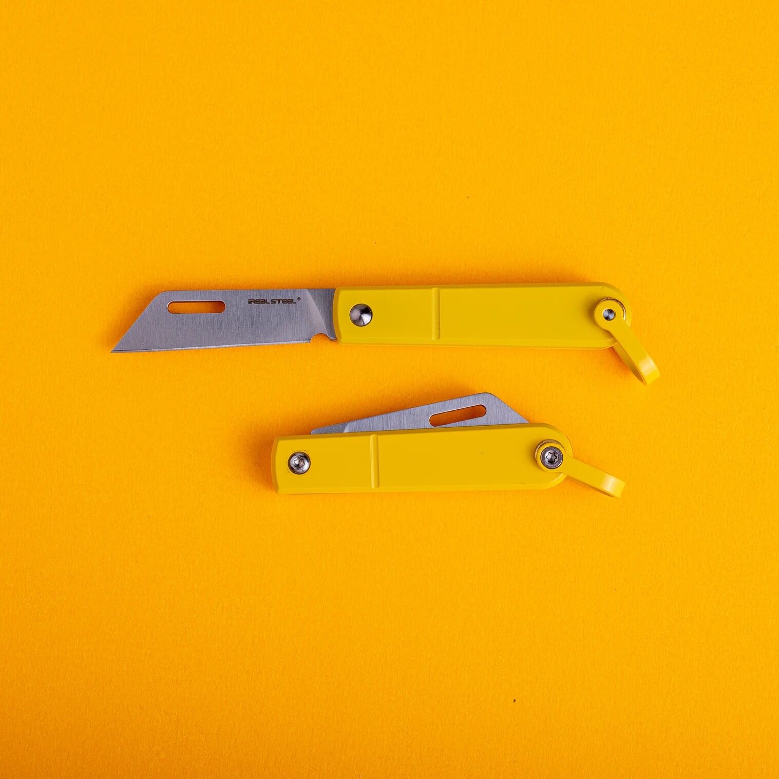 Baby Barlow | Key knife | Colorfit | 8031Y