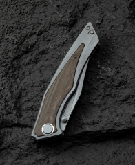 BESTECH TOGATTA BT2102D Titanyum+Yeşil Kanvas Micarta Kakma Sap 3,74'' M390 Blade
