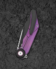 BESTECH SERAPH BT2403C 3.66'' M390 Blade Titanyum Sap