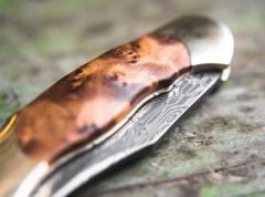 Böker Manufaktur Junior Scout Thuja Damascus Çakı