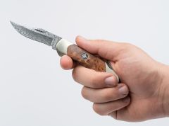 Böker Manufaktur Junior Scout Thuja Damascus Çakı
