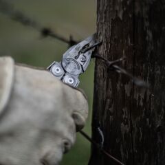 Surge SET Stainless Steel